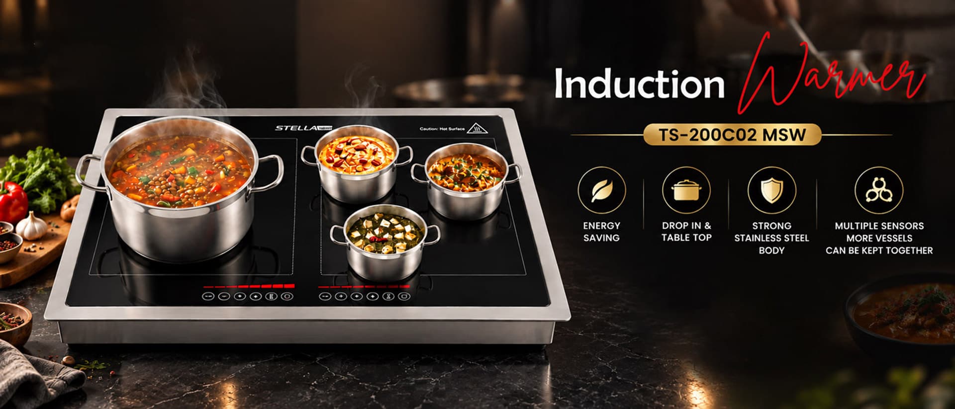 StellaDexin TS-200C02 MSW induction warmer — energy saving, drop-in and table top, strong stainless steel body, multiple sensors so more vessels can be kept together