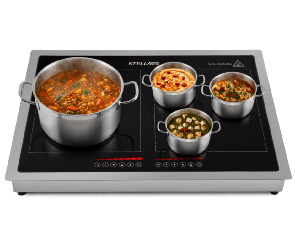 Induction Warmer TS-200C02 MSW